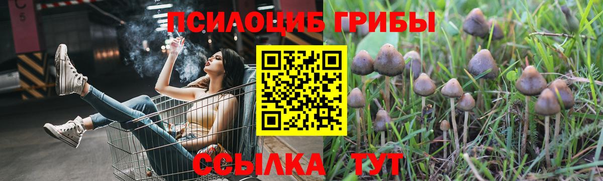 Жигулёвск  Галлюциногенные грибы GOLDEN TEACHER  цены наркотик  Вход с VPN 